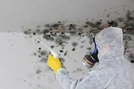 Trusted Chapin, SC Mold Remediation Experts